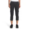 The North Face Women's Aphrodite Motion Capri -Women Clothing Sale Store NF0A4AQE 0C5 hero 1